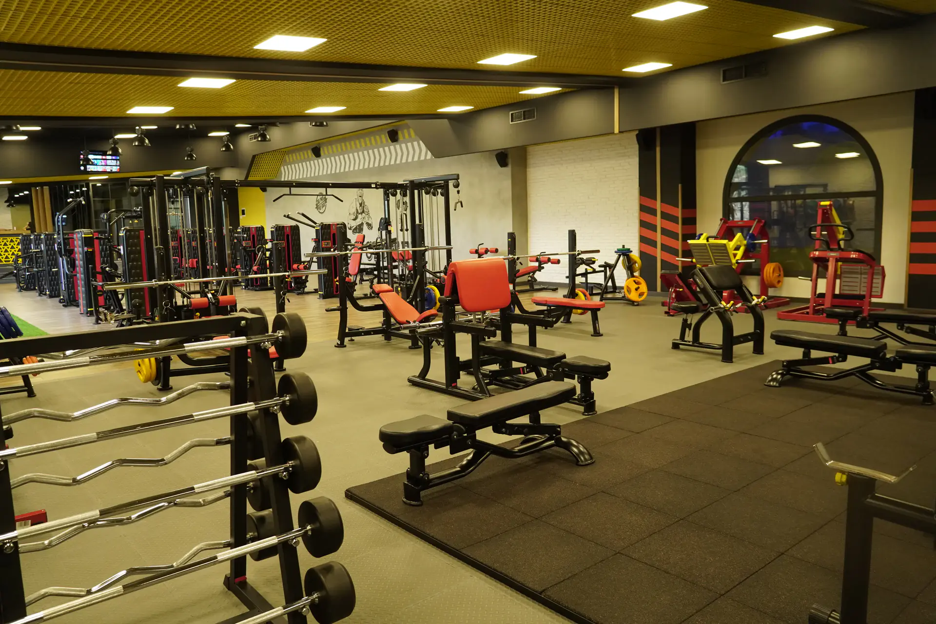 Fitness