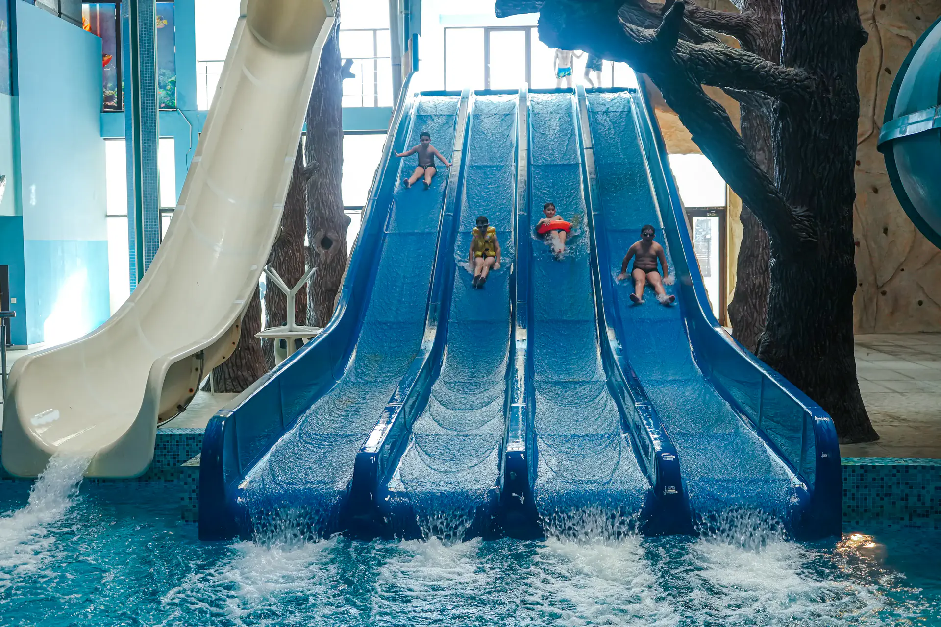 Family Slide
