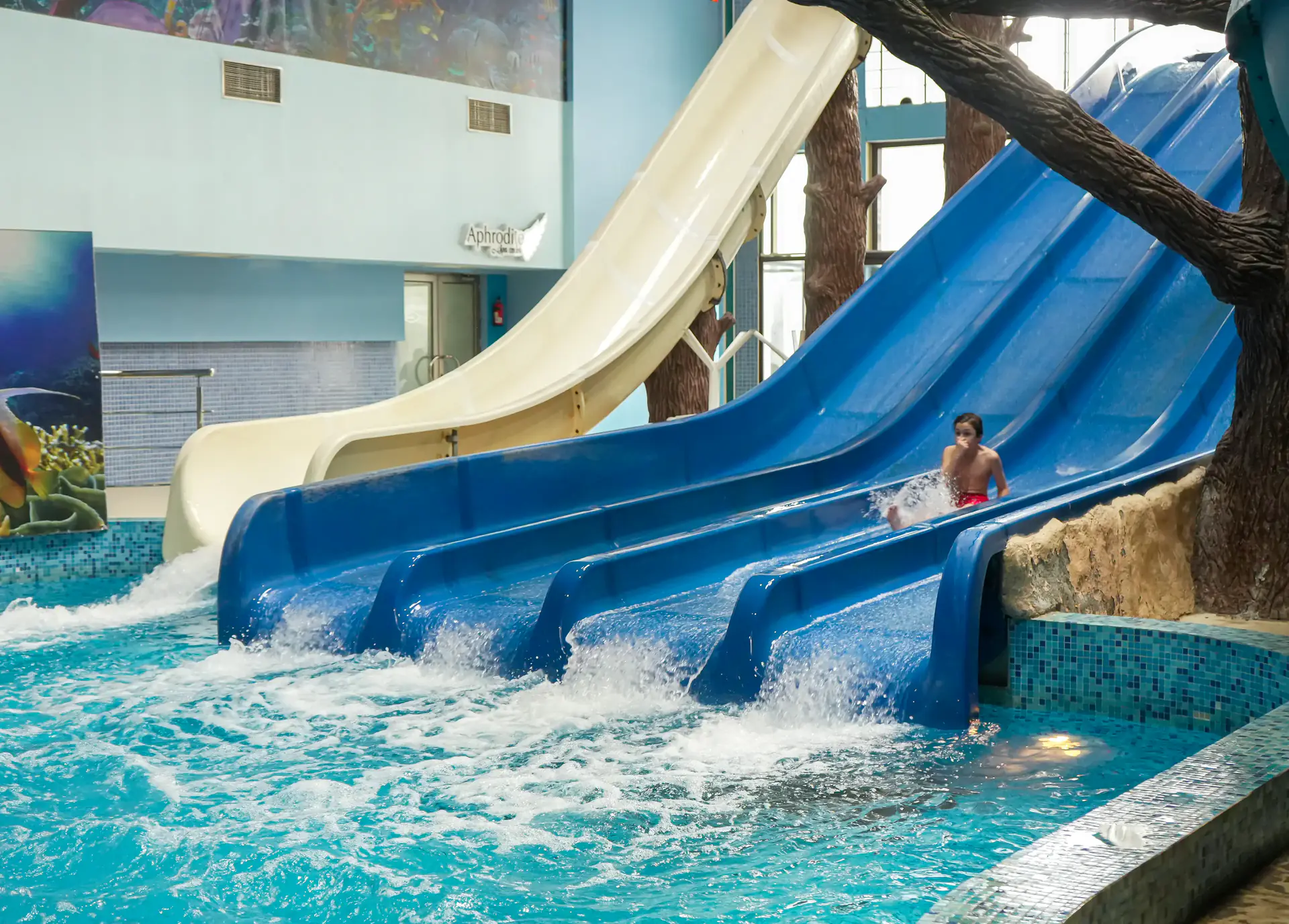 Aquatek slide photo 6